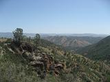 Pinnacles NM 05